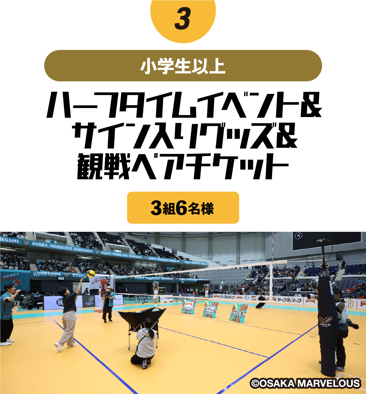 ハーフタイムイベント&サイン入りグッズ&観戦ペアチケット