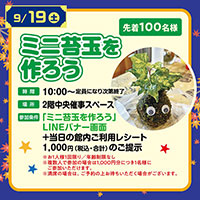 ミニ苔玉を作ろう！