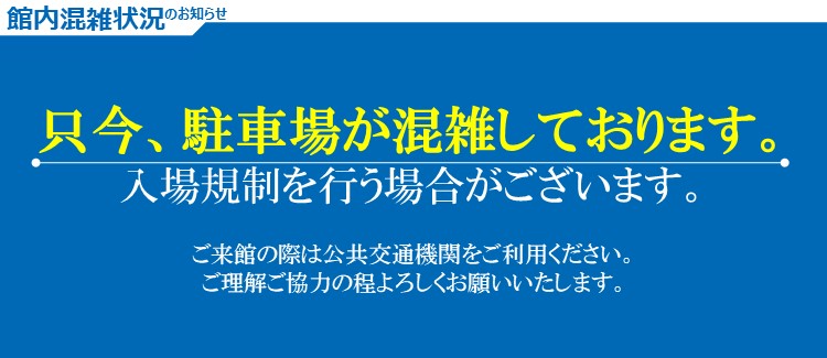 駐車場混雑