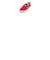 STS10650　BAHAMA 2-EYE VARSITY　RED　531714-0001