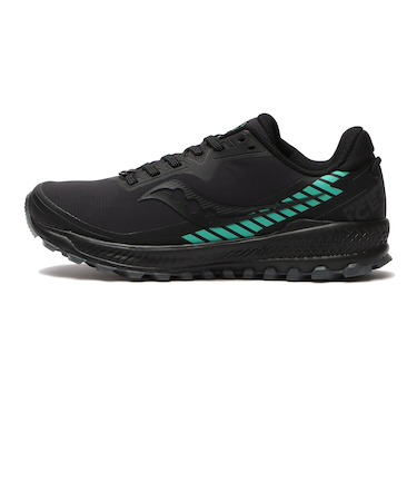 S10675-1　WMNS PEREGRINE ICE+ 2　BLACK/JADE　616917-0001