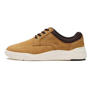SR04252　ZENAS　WHEAT　628637-0001