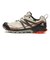 L41725000　XA ROGG 2 GTX　FEATHERGRY/VINK　635189-0001