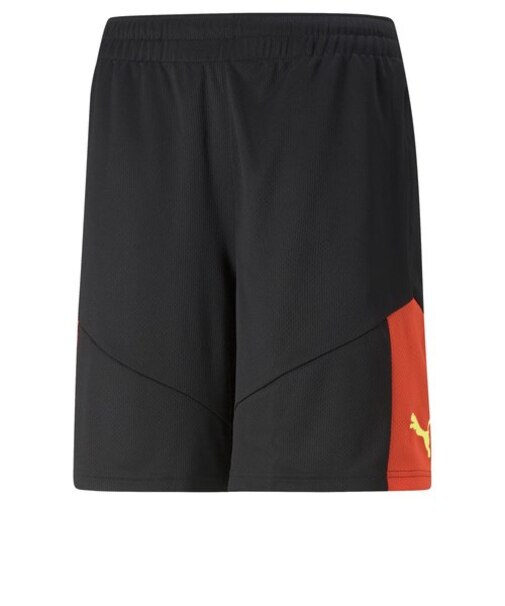 658244　M IF TRAINING SHORT　48BLK/F.CORAL　633398-0002