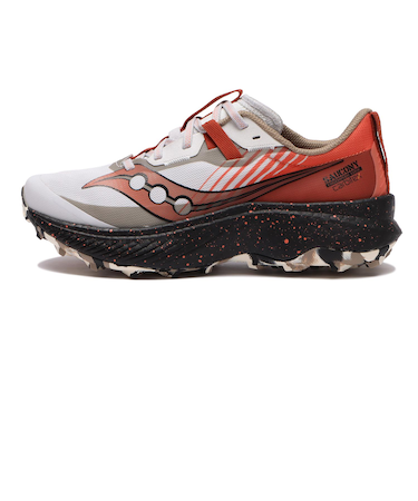 S10773-86　WMNS ENDORPHIN EDGE　FOG/ZENITH　636653-0001