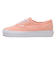 VN0A5KS9N4N　AUTHENTIC　TERRY CLOTH TRO　636456-0001