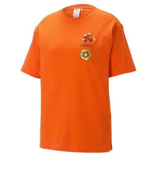 539829　W LIBERTY GRAPHIC TEE　23C.PEPPER　658186-0001