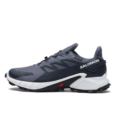 L47462300　SUPERCROSS 4 GTX　Grisai/Wht/Car　677776-0001