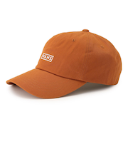 VN0A36IUEHC　VANS CURVED BILL JOCKEY　AUTUMN LEAF　675643-0001