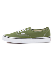 VN0A2Z3ZCIB　Authentic　COLOR THEORY PE　680552-0001