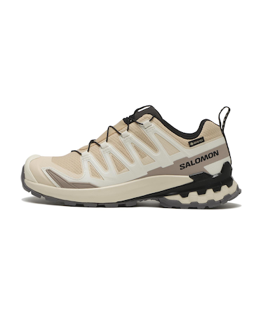 L47817600　XA PRO 3D V9 GTX W　Hazelnut/Tender　691272-0001
