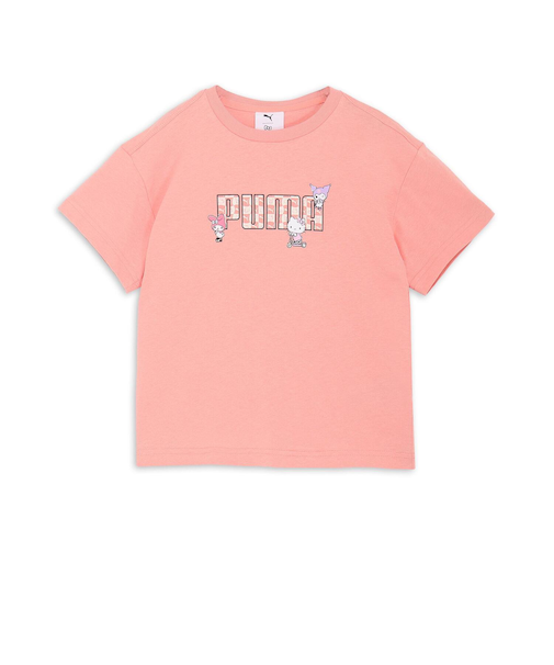 630062　K HELLO KITTY & FRIENDS R　18PINK FRUIT　693239-0001