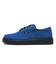 V44 CRP　AUTHENTIC CRP　BLUE/BLACK　689453-0002