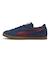 401048　BRASIL　06PERSIAN BLUE　690613-0006