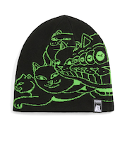 026596　M RIPNDIP BEANIE　01BK/GREEN　699652-0001