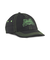 026595　M RIPNDIP DAD CAP　01BK　699651-0001