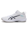 1063A096.104　GELHOOP V17　WHITE/BLUE　708894-0001