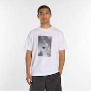 MT61V6E3WT　M O.HｼｸﾞﾈﾁｬｰﾌｫﾄT2　WT　709050-0001