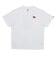 VN0011YAWHT　SUSHI TEE CUP SS TEE　WHITE　705299-0001