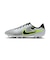 MDV4339　LEGEND 10 ACADEMY HG　001M SILV/BLK　668313-0006