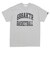225-042005　68xAKTR ARCH LOGO TEE　LIGHT GRAY　705366-0002
