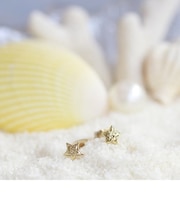 【ハワイアンジュエリー】サージカルステンレス ハワイアンピアス【LaniHoni(ラニホニ)】