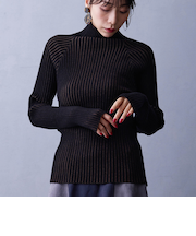 プレーティングリブタートル