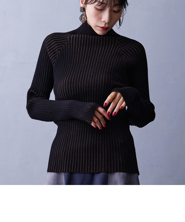 プレーティングリブタートル