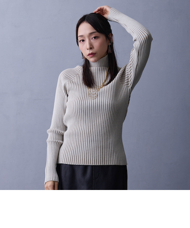 プレーティングリブタートル