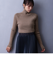 プレーティングリブタートル