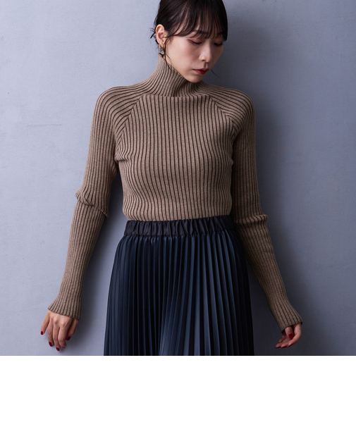 プレーティングリブタートル