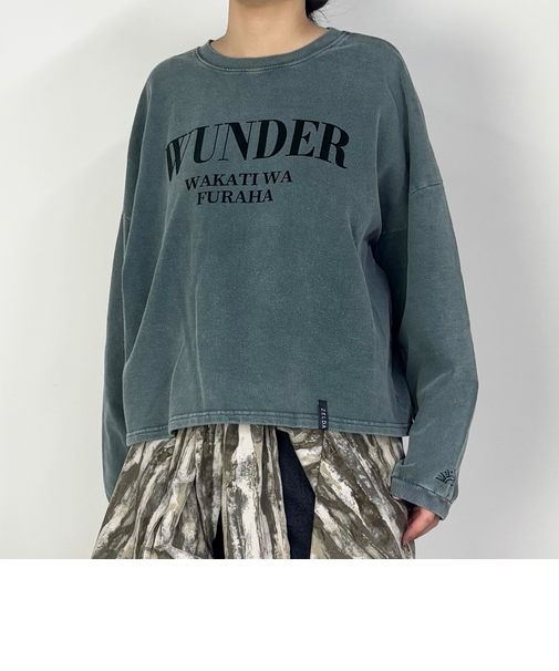 【ZELDA】ロゴフロッキープルオーバー