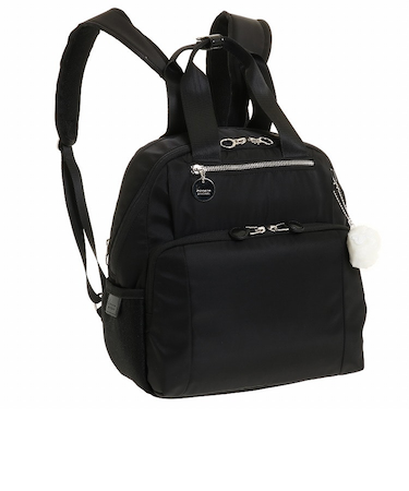 Kanana project PJ-9D