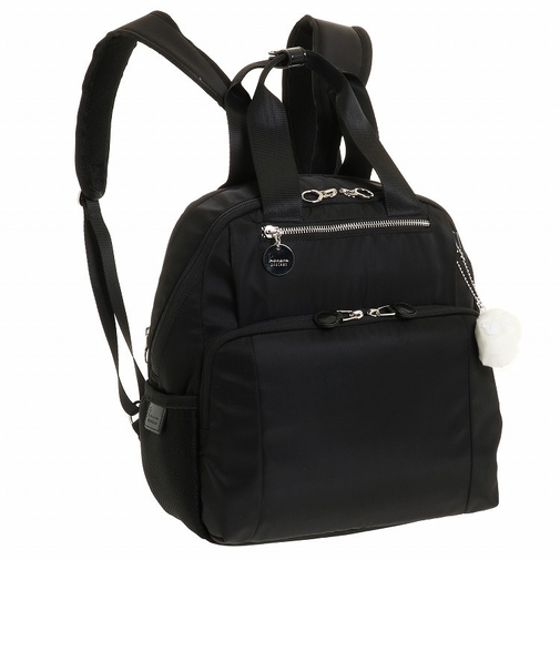 Kanana project PJ-9D