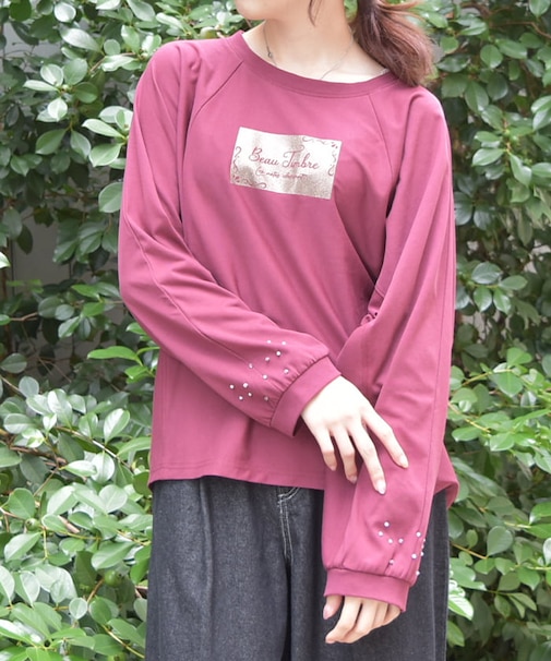 アソートロゴドルマンＴシャツ