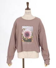 アソートデザインＴシャツ