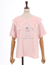 ビック襟Ｔシャツ