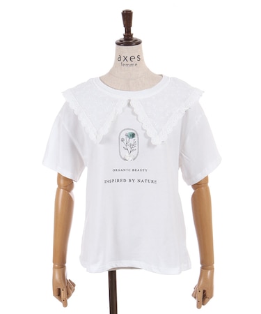 ビック襟Tシャツ