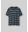 コットンストライプTショート
