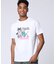 トロピカル アートワーク ピマコットンTシャツ