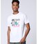 トロピカル アートワーク ピマコットンTシャツ