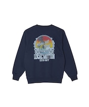 ﾊｲﾋﾞｽｶｽﾌﾟﾘﾝﾄ ｽｳｪｯﾄ