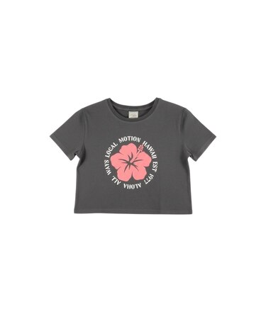 ﾊｲﾋﾞｽｶｽｻｰｸﾙｽﾃｯﾁTｼｬﾂ