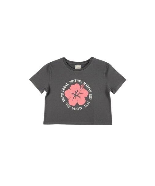 ﾊｲﾋﾞｽｶｽｻｰｸﾙｽﾃｯﾁTｼｬﾂ