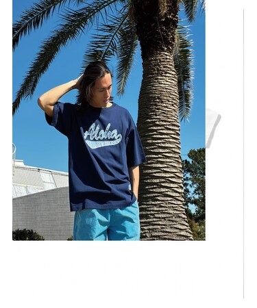 ｱﾛﾊﾃﾞﾆﾑ貼り付けTｼｬﾂ