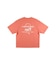 ｱﾛﾊｽﾃｰﾄ ﾍﾟｱﾃｯｸｽTｼｬﾂ