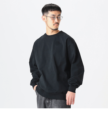 スーパーヘビーウエイト クルーネック カットソー 25SS