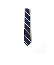 シルク ストライプ ナロー ネクタイ 25FW 2