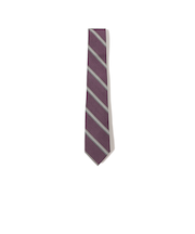 シルク ストライプ ナロー ネクタイ 25FW 2