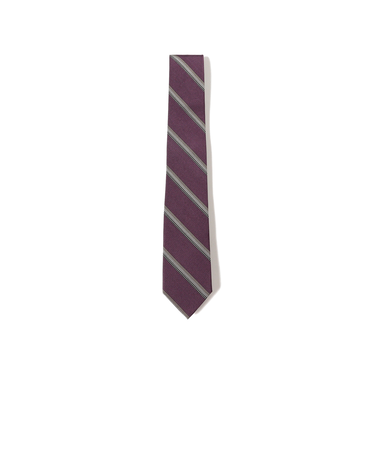 シルク ストライプ ナロー ネクタイ 25FW 2